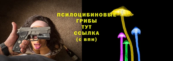 молекула духа Горняк