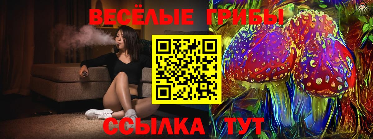 Галлюциногенные грибы Cubensis Острогожск