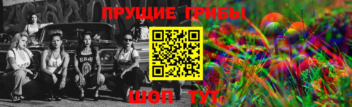 Галлюциногенные грибы Cubensis  Псилоцибиновые грибы GOLDEN TEACHER  Острогожск 